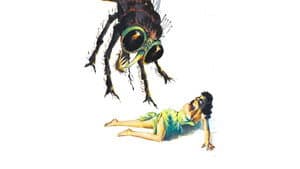 La mosca — foto 12