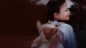 Little Boy Lost: An ID Mystery — foto 2