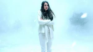 White Bird in a Blizzard — foto 9