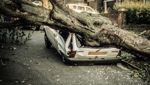 The Great Storm of '87 — foto 1
