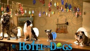 Hotel para Perros — foto 12