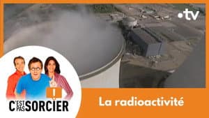 Episodio 178