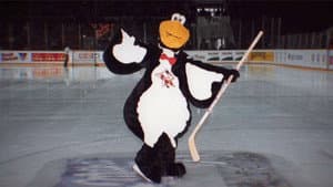 Red Penguins — foto 5