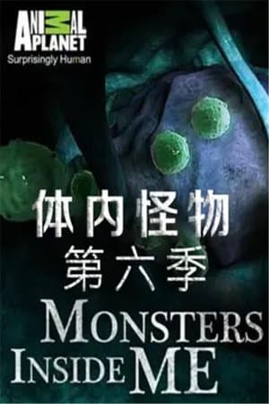 Temporada 6