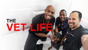 The Vet Life — foto 8
