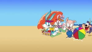 Tiny Toons - Cómo Pasé mis  Vacaciones — foto 2
