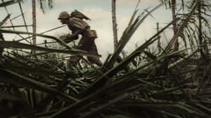 La II Guerra Mundial: Desde el frente — foto 5