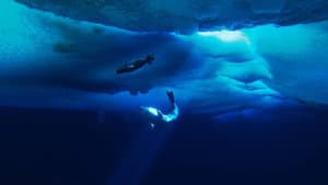 The Last Ocean — foto 1