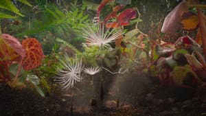 Planètes — foto 5