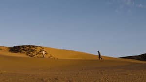 أبو ليلى — foto 11