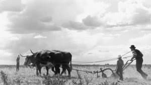 Drylanders — foto 1