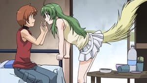 Episodio 8