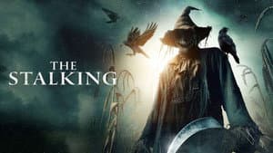The Stalking — foto 1