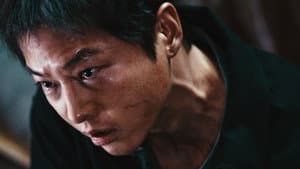 화란 — foto 4