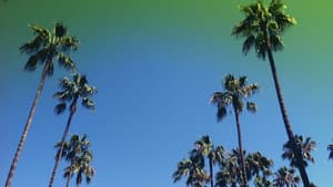 Lost in LA — foto 1