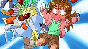 Episodio 14