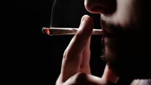 How Drugs Work — foto 1