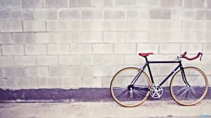 fixie — foto 1