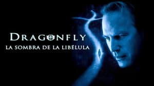 El misterio de la libélula — foto 12
