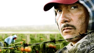 American Crime — foto 11
