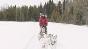 A Great North Christmas — foto 4