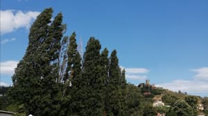 Chaînes Dorées — foto 2