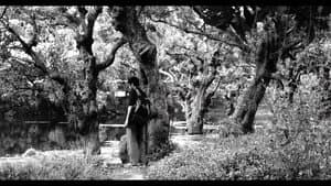 একটি একঘেয়ে ফিল্ম — foto 2