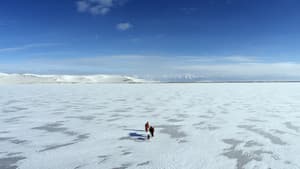 Le Cavalier mongol — foto 3