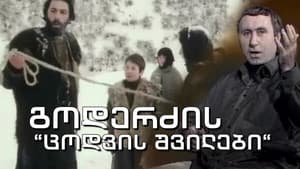 ცოდვის შვილები — foto 1