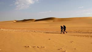 Desert Runners — foto 3