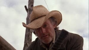 Wooly Boys — foto 2