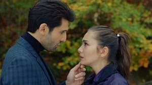 Episodio 8
