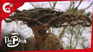 The Birch — foto 3