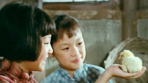 城南旧事 — foto 8