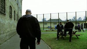 Pusher II — foto 12