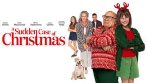A Sudden Case of Christmas — foto 10