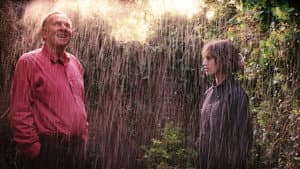 El maravilloso jardín secreto de Bella Brown — foto 7