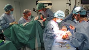 Burning Out, dans le ventre de l'hôpital — foto 2