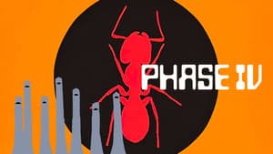 Phase IV — foto 12