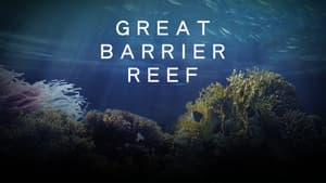 La gran barrera de coral con David Attenborough — foto 2
