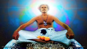 Timothy Leary's Dead — foto 1