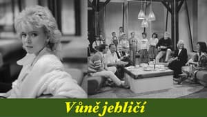 Vůně jehličí — foto 1