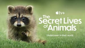 La vida secreta de los animales — foto 6