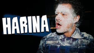 Harina — foto 4