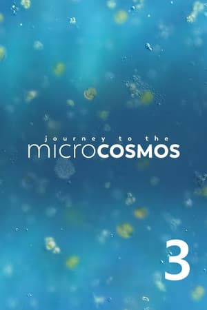 Temporada 3