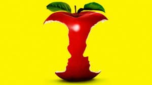 Bonne pomme — foto 5