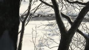 7FATES: CHAKHO — foto 2