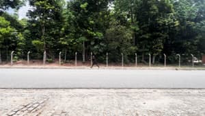 Rotina — foto 1