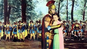 Il colosso di Roma — foto 2