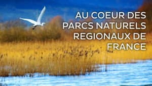 Au cœur des parcs régionaux naturels de France — foto 1